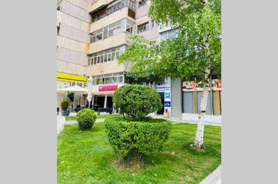 Stela's Apartment