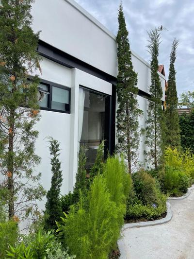 The Gold Living Life