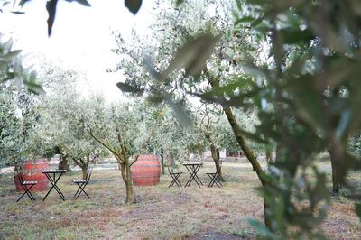 B&B Dimora di Campagna "alle falde del Vesuvio"