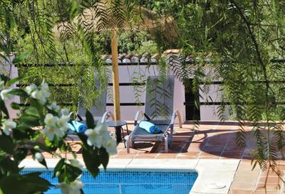 Finca La Meica Bed & Breakfast, Billede 2