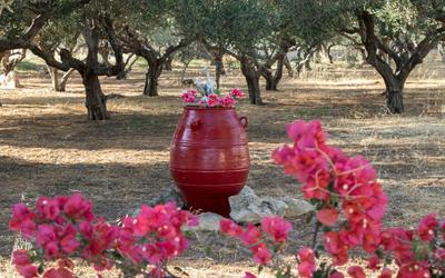 Xirouchakis Farm