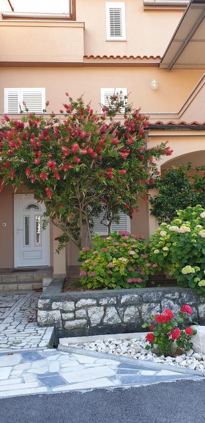 Apartments Ivanovski