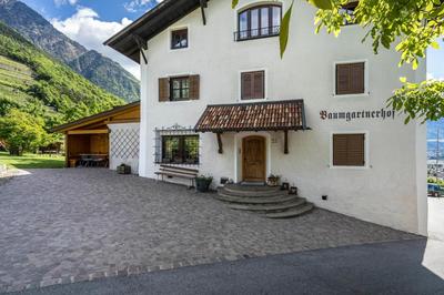 Baumgartnerhof Appartment Magnolie