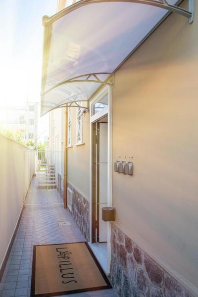 B&B Lapillus
