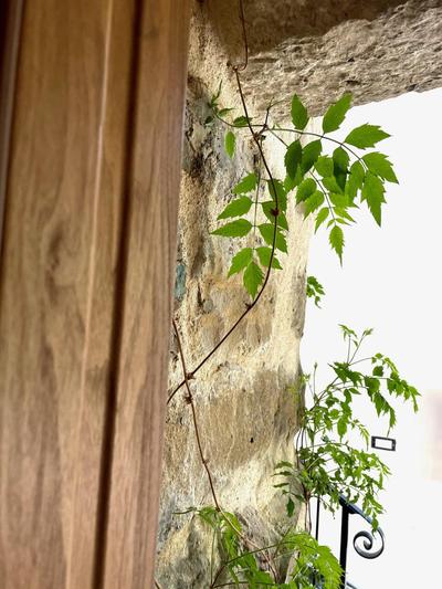 Maison Laurel - Beautiful Stone Estate With Private Pool, Near Split and Omiš