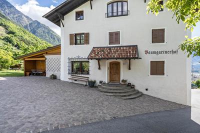 Baumgartnerhof Appartment Holunder