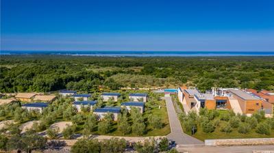 Papafigo Camping