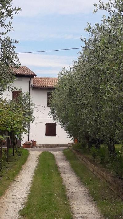 Casa tra gli Olivi