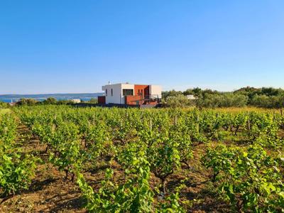 Villa SEVEN HEARTS with heated pool and basketball court near Split