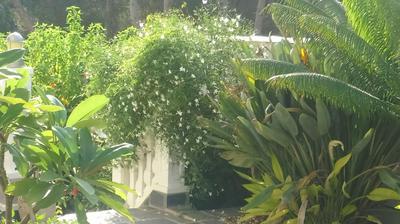 Estrella Del Mar Tranquil and spacious villa, convenient location 3-5 mins' walk to all amenities