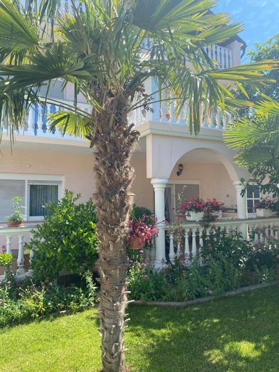 Villa Chiara