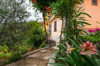 Apartment Alba