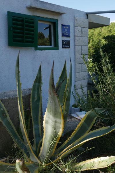 Vacation House "Pave"