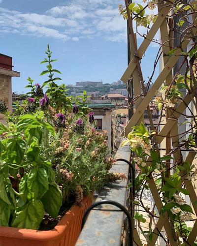 B&B Tarumbò