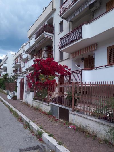 La Vie en Rose Mattinata