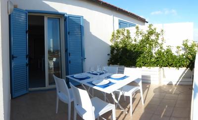 siciliacasevacanze - Ulivi