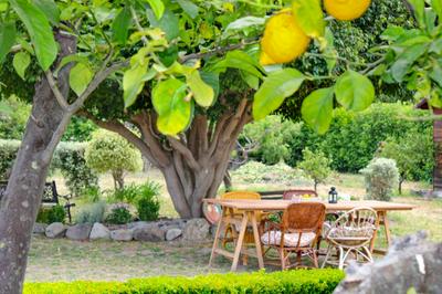 La Casa di Lina - Capo d'Orlando, casa con ampio giardino