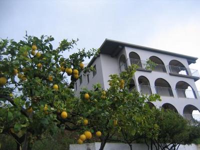 Olimpo