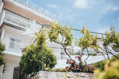 Anatota Hvar