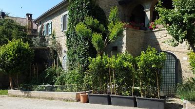 #FortCozzo - JacuzziSuite & Sauna - Casola Valsenio