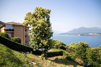 Cloud 9 - Apartment with stunning lake view