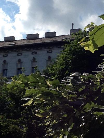 Augartenblick Penthaus 14 - Blick zum Riesenrad