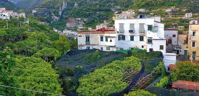 Il Limoneto di Lulù, holidays among the lemon trees