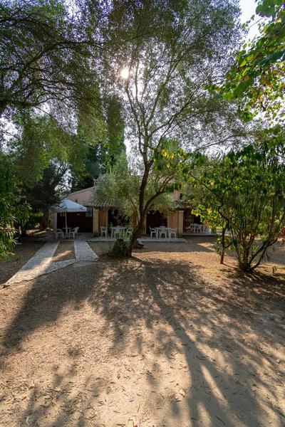 Villa Olive apartments