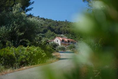 Olive Hill Familly House