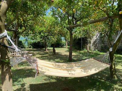 CASA SORRENTO, immerso nel verde a pochi passi dal centro