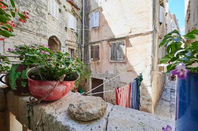 Apartman Baba Zorka