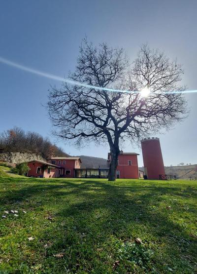 Agriturismo La Vita è Bella, Billede 2