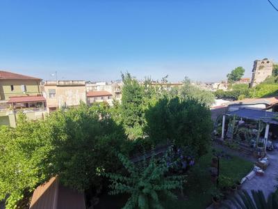 Domus Taura