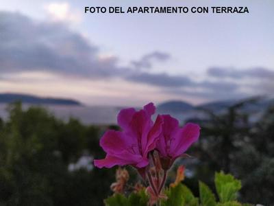 Rua Granxas, n 13, Piso con terraza o Estudio sin terraza