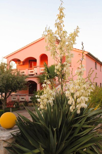 Apartman Patricia