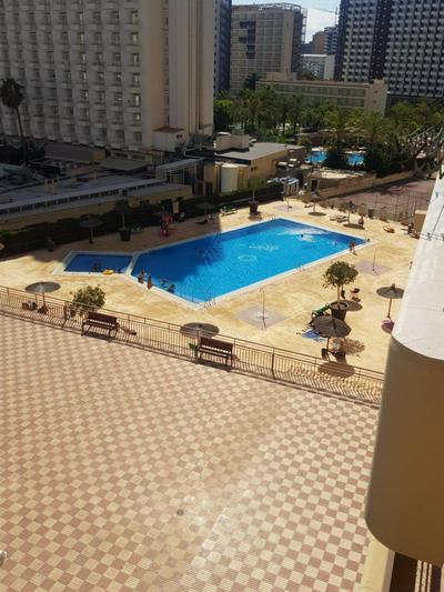Acuarium 3-Fincas Benidorm