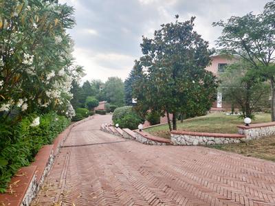 Villa Abete Azzurro con Piscina