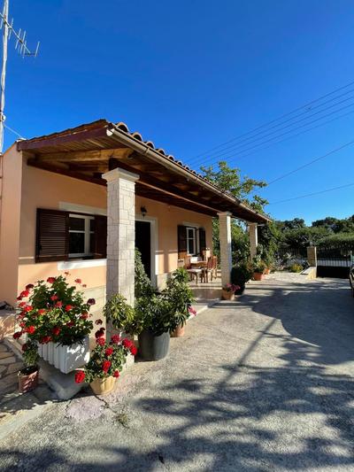 Mina's serene garden house