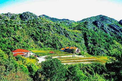 Eco Winery Lipovac Apartments
