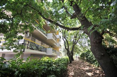 Sole & Querce Apartments- Bike Friendly with garage