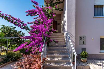Apartman Maria