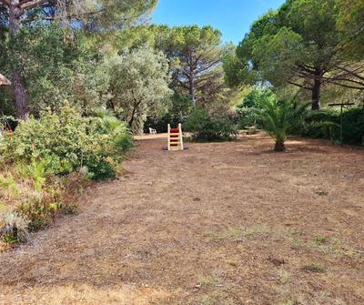 Charming House in Lacona + Garden