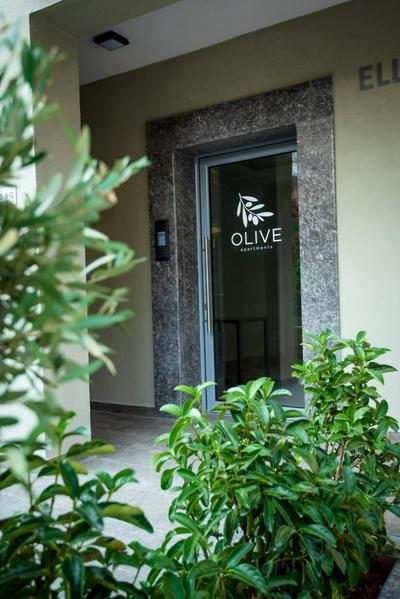 OLIVE 101