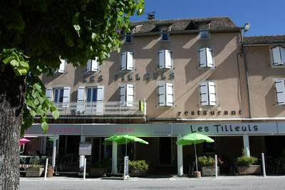 Hôtel Les Tilleuls de Pareloup à Salles-Curan