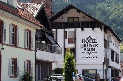 Hotel Grüner Baum - Hotel im Murgtal, Schwarzwald