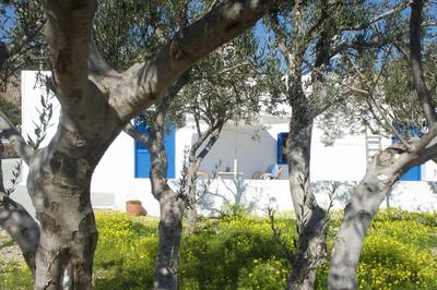 Unique & Restored Karpathian House