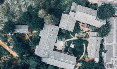 阅时 Adonis野生派 Black Bar 森林大院民宿