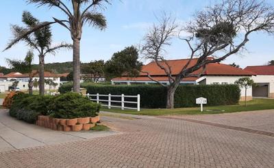 Sand Dollar @ The Dunes