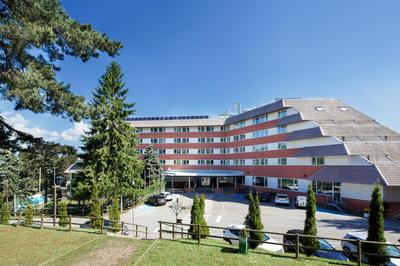 Alp Hotel Masella