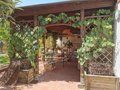 Alma Migrante bed&wine